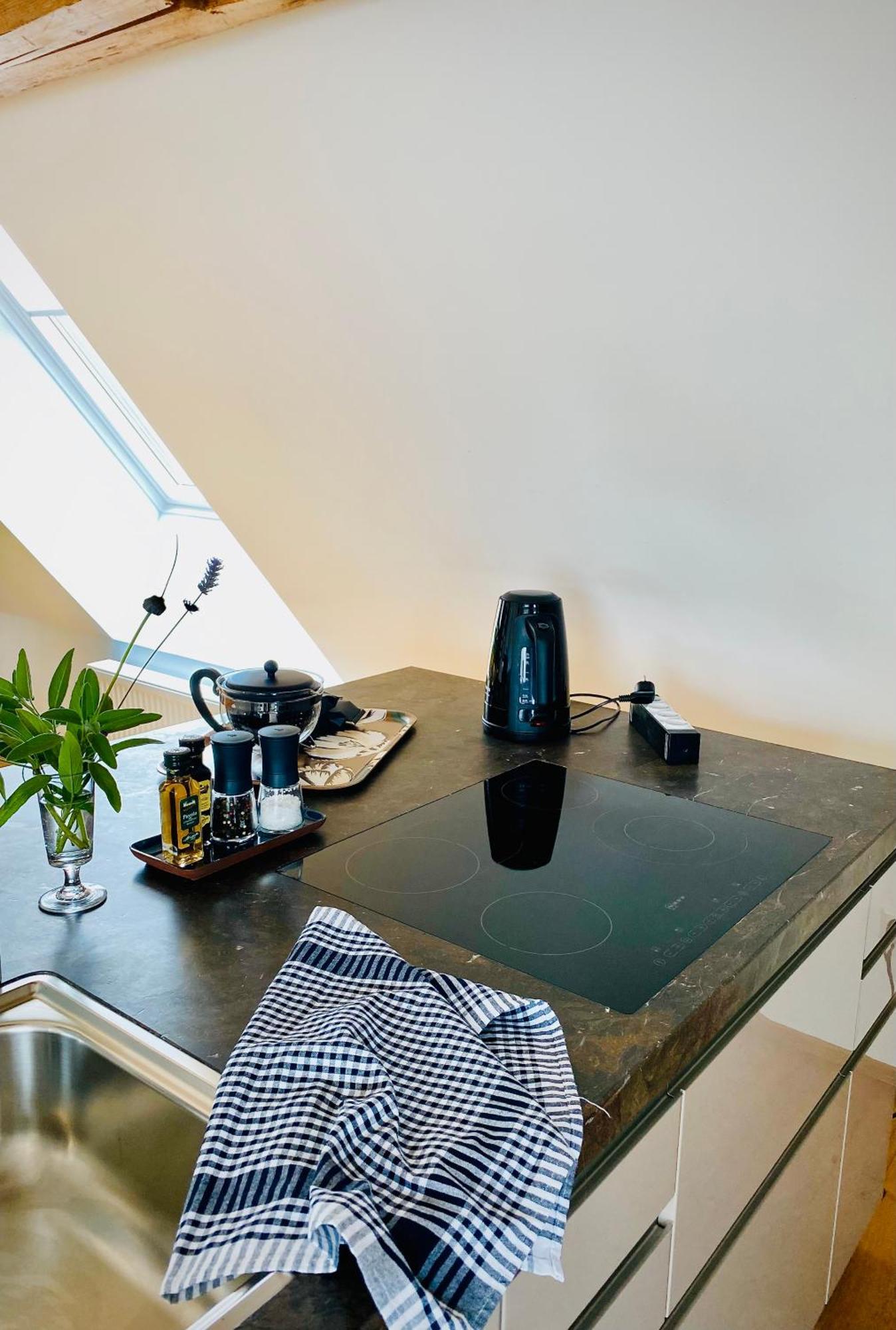 Apartment Am Schlosshof Besigheim Eksteriør billede