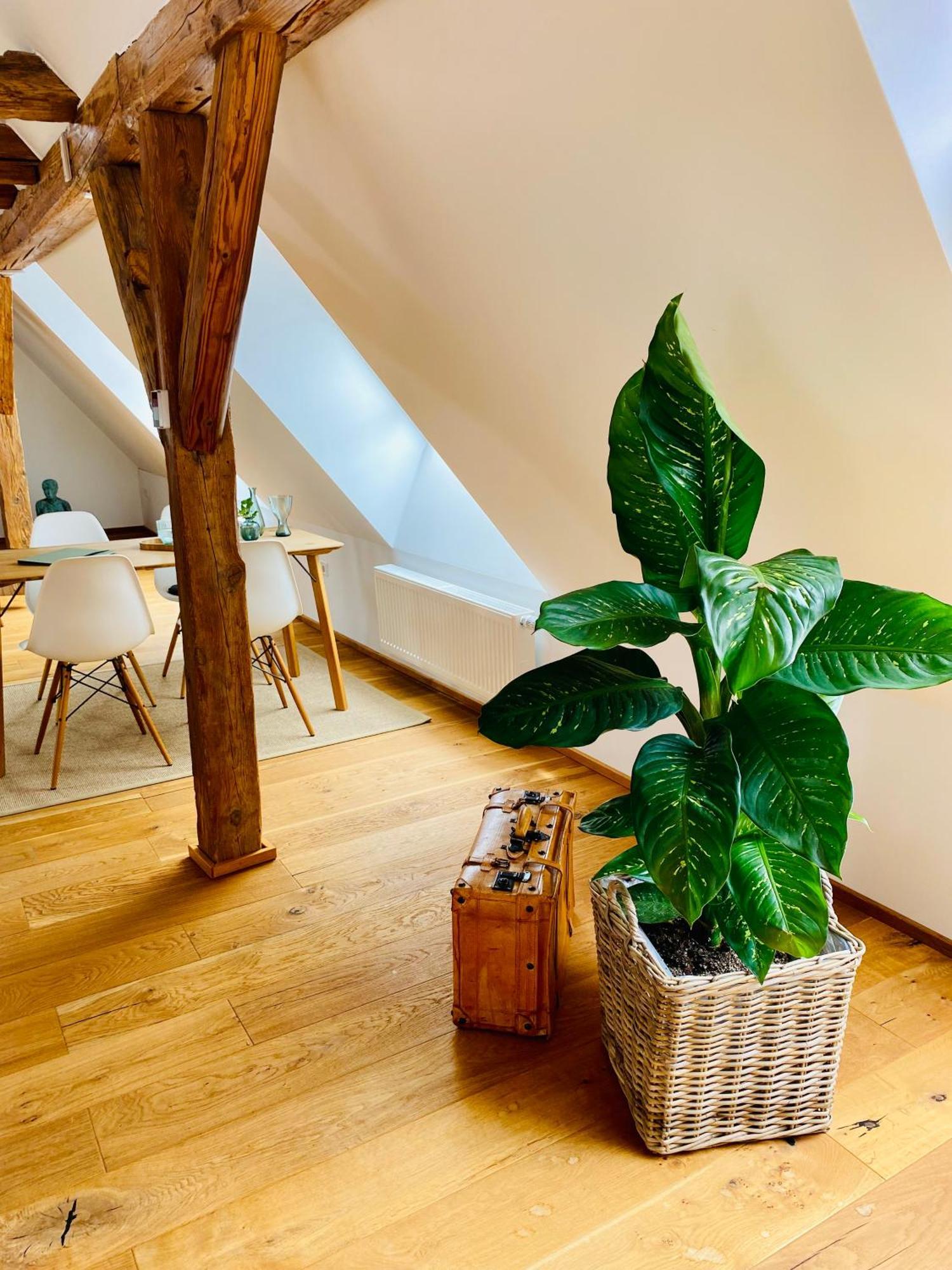 Apartment Am Schlosshof Besigheim Eksteriør billede