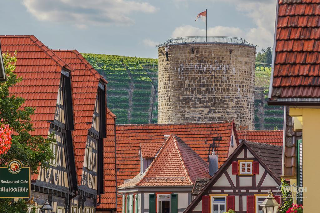 Apartment Am Schlosshof Besigheim Eksteriør billede